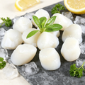 Original Fresh-Frozen Scallop Adductor